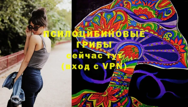 spice Верея
