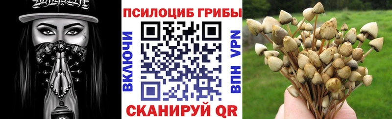 Купить закладки  Светлоград  Псилоцибиновые грибы MAGIC MUSHROOMS 